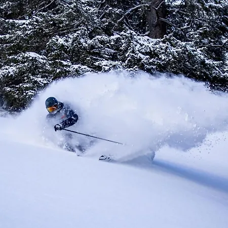 Casa Cozy Appartement *